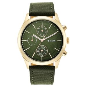 titan men's watch 1805ql01